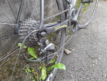 LOMBARDO Imola 2018 Road & Gravel de segunda mano, Negro — imagen 3 de 3