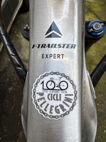 Used Bergamont E-Trailster Expert 2023 2023 Mountainbike, Light Gray, 29 — image 10 of 12