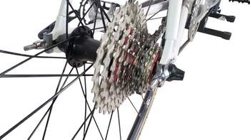 Used Other Brands ABICI 2019 Road & Gravel, White — image 23 of 40