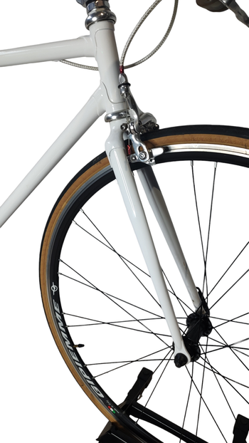 Used Other Brands ABICI 2019 Road & Gravel, White — image 39 of 40