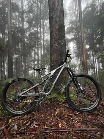 Specialized, Stumpjumper EVO Comp Alloy 2023