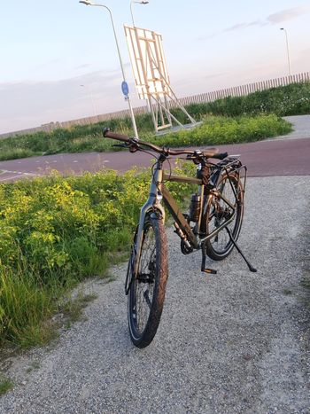 Used Koga Worldtraveller 2023 2023 Road & Gravel — image 2 of 3