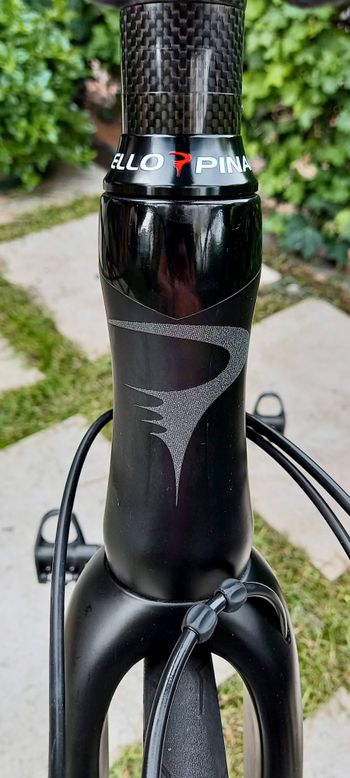 Used Pinarello Treviso 2018 Road & Gravel — image 18 of 28