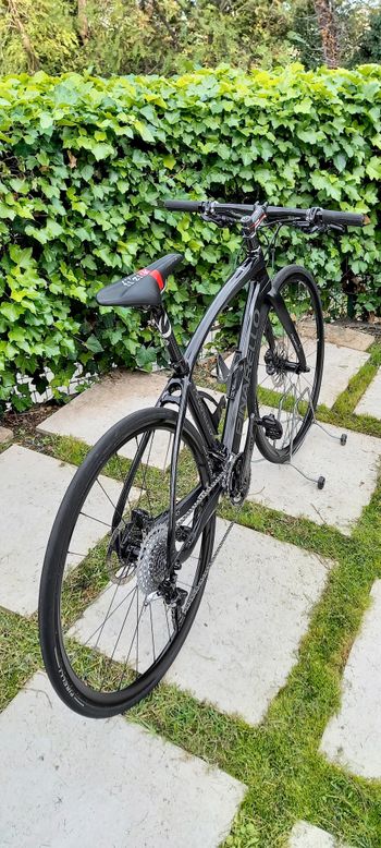 Used Pinarello Treviso 2018 Road & Gravel — image 4 of 28