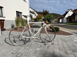 Pinarello - Team Bike Bernard, 1993