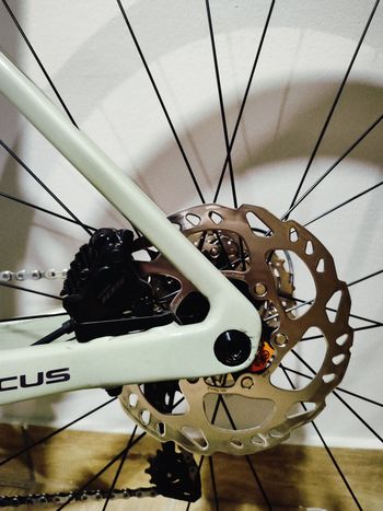 Used Focus IZALCO MAX 8.7 2024 2024 Road & Gravel, Black — image 11 of 11