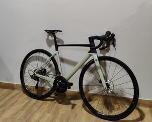 Focus - IZALCO MAX 8.7 2024, 2024