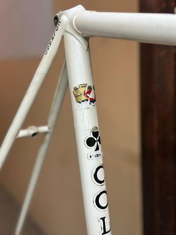 Used Colnago International Frameset 1980 Road & Gravel, White — image 11 of 12