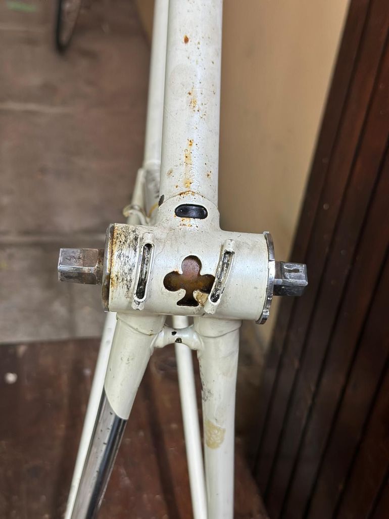 Used Colnago International Frameset 1980 Road & Gravel, White — image 8 of 12