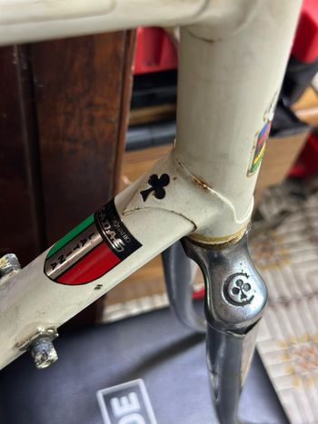 Used Colnago International Frameset 1980 Road & Gravel, White — image 6 of 12