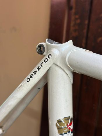 Used Colnago International Frameset 1980 Road & Gravel, White — image 10 of 12