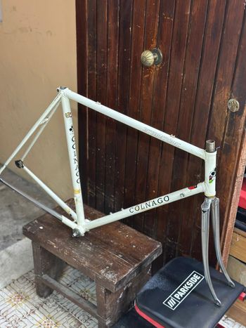 Used Colnago International Frameset 1980 Road & Gravel, White — image 1 of 12