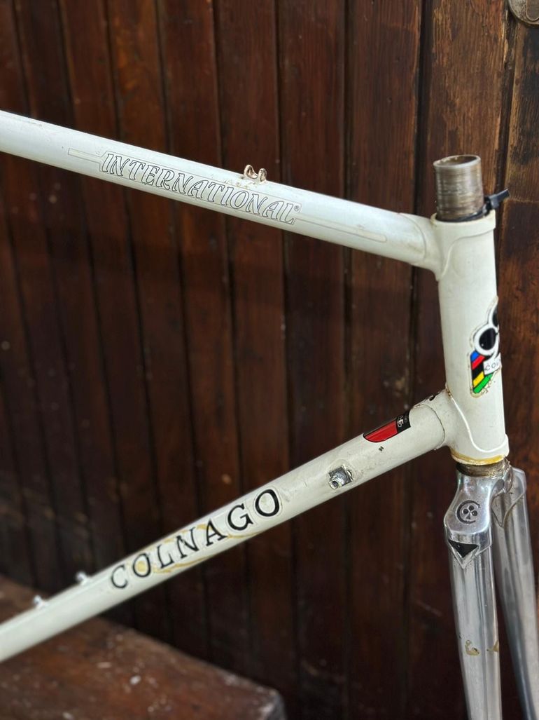 Used Colnago International Frameset 1980 Road & Gravel, White — image 3 of 12
