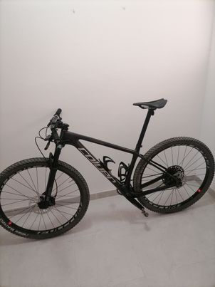 CTM - coluer poison sl, 2022