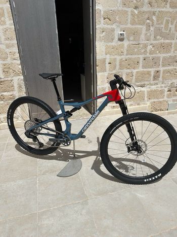 Used Cannondale Scalpel 2 Lefty 2024 2024 MTB