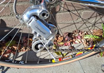 Used Other Brands Berma Professional "Aero" 1987 Road & Gravel — image 2 of 14