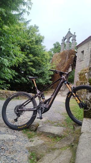 Orbea - WILD M-LTD 20mph 2023, 2023