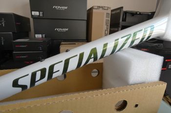 Used Specialized Tarmac SL7 Frameset 2022 2022 Road & Gravel, White — image 25 of 33