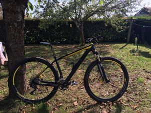 Haibike - Light SL 29, 2014