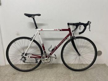 Used Rocky Mountain Turbo (Road bike) 1998 Road & Gravel
