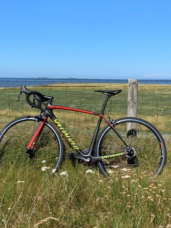 Used Specialized Women's Tarmac Disc Comp 2019 2019 Road & Gravel, Black — image 4 of 4