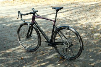 Used Focus PARALANE 8.8 2024 2024 Road & Gravel, Schwarz — image 5 of 8