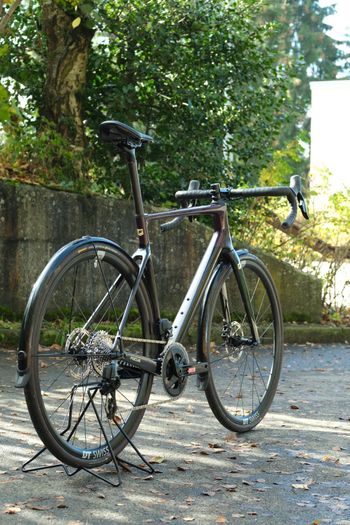 Used Focus PARALANE 8.8 2024 2024 Road & Gravel, Schwarz — image 4 of 8
