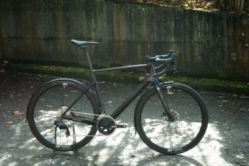 Used Focus PARALANE 8.8 2024 2024 Road & Gravel, Schwarz — image 8 of 8