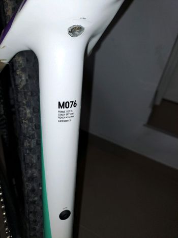 Used Canyon Exceed CF 6 2022 2022 Mountainbike, Weiß, 29 — image 4 of 8
