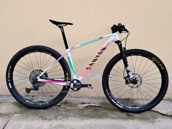 Used Canyon Exceed CF 6 2022 2022 Mountainbike, Weiß, 29 — image 1 of 8