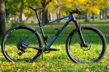 Buy A Used Canyon Exceed buycycle