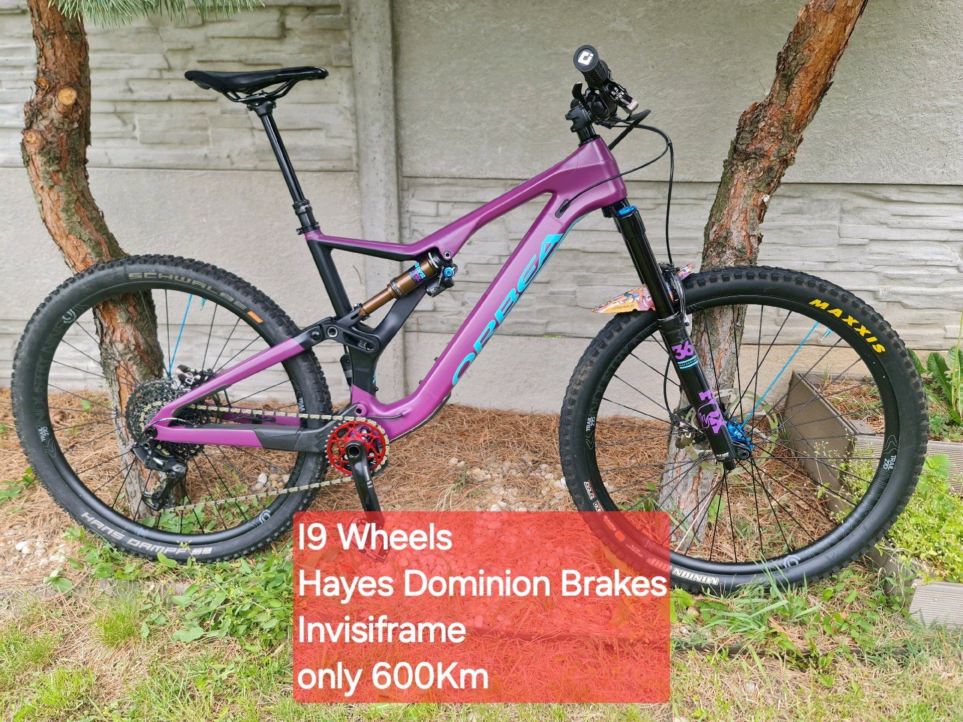 Orbea rallon m10 2019 sale