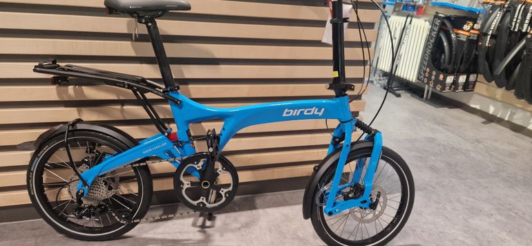 Electric Bicycle Birdy Frog Folding Bike Birdy Classic Birdy Bike