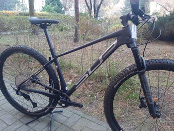 Used Superior XP 969 2022 2022 Mountainbike, Black, 29 — image 5 of 5