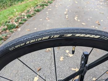 Used Trek District Carbon 2010 Road & Gravel, Black — image 4 of 29