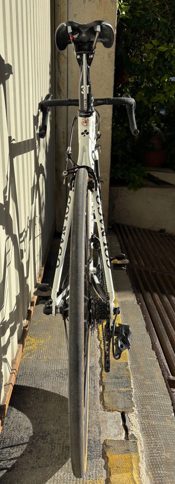 Used Colnago C59 2014 Road & Gravel, White — image 3 of 7