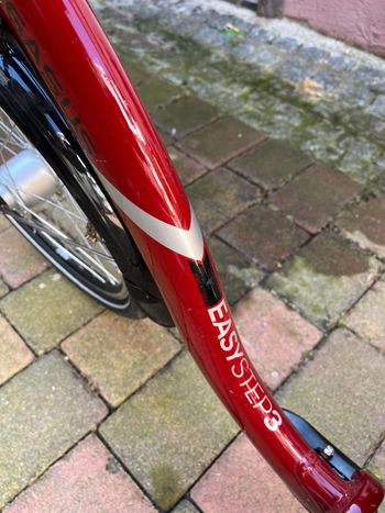 Used 3T Pegasus easy step 3 2022 Road & Gravel — image 4 of 9