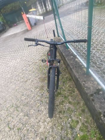 Used Dartmoor Quinnie 2020 2020 Mountainbike, Black, 26 — image 3 of 5