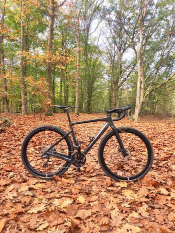 Used Rose BACKROAD GRX RX810 Di2 Limited 2020 Road & Gravel, shop.filter.color.1 — image 1 of 8