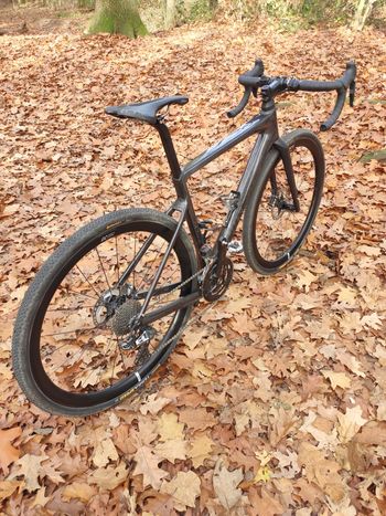 Used Rose BACKROAD GRX RX810 Di2 Limited 2020 Road & Gravel, shop.filter.color.1 — image 2 of 8