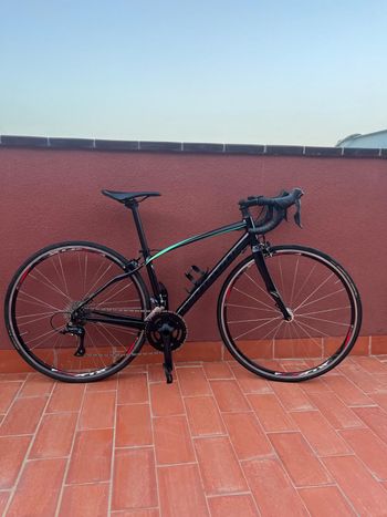 Specialized allez dolce online