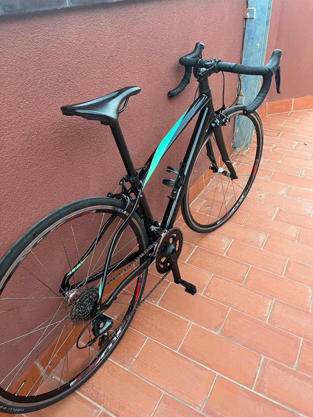 Specialized dolce sport online