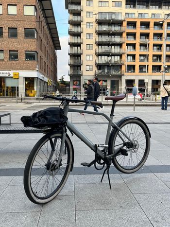 Used Schindelhauer Gustav 2020 Road & Gravel, Light Gray — image 8 of 8