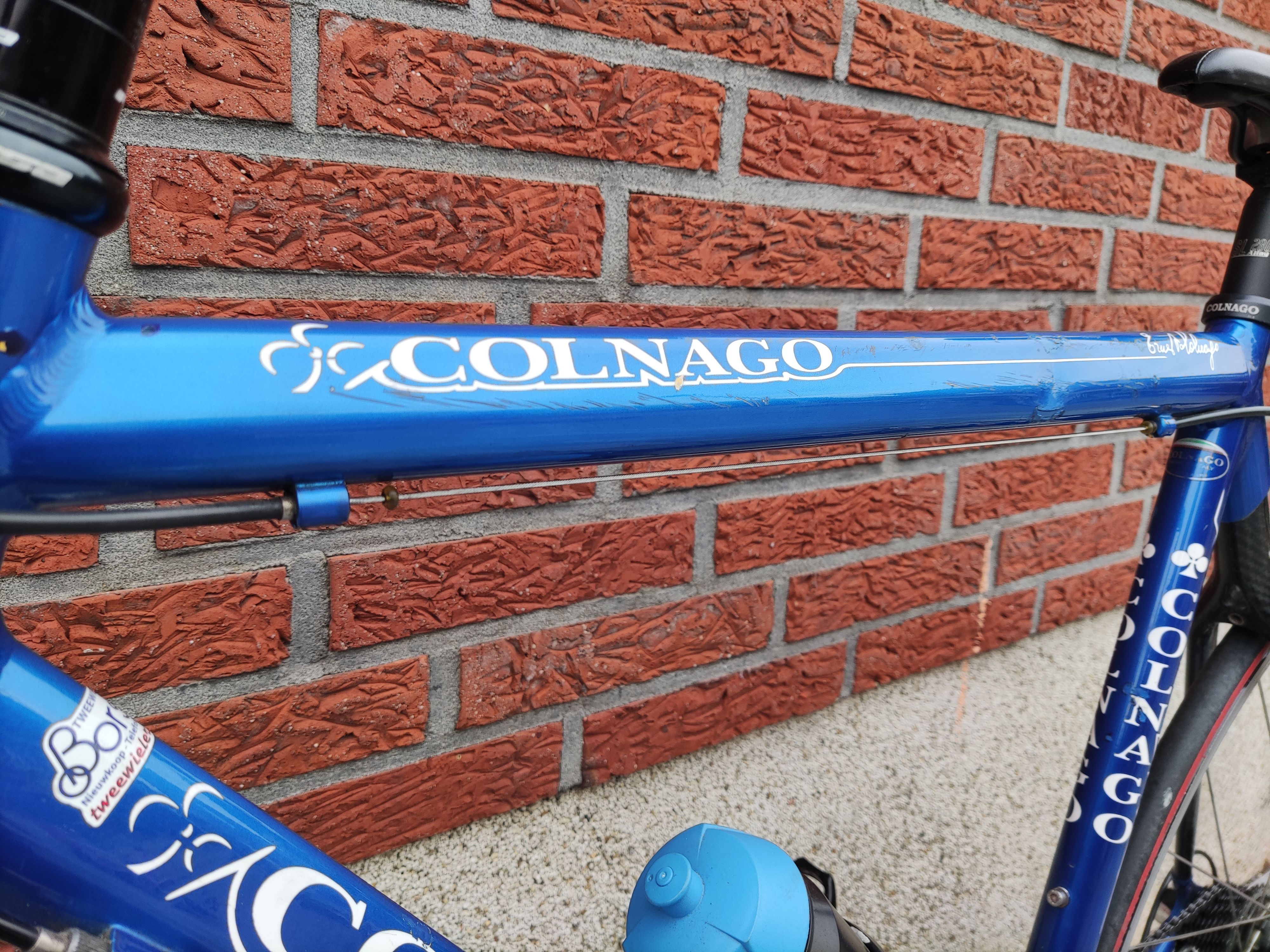 Colnago Active used in 58 cm | buycycle