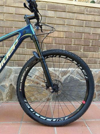 Brugt Canyon Exceed CF 8 2024 2024 Mountainbike — billede 4 af 8
