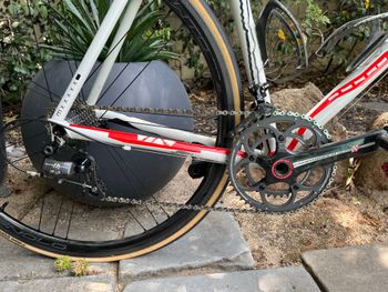 Used Lightweight Pegoretti Marcelo 2010 Road & Gravel — image 3 of 15