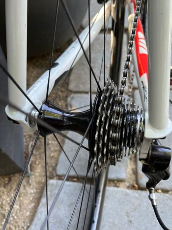 Used Lightweight Pegoretti Marcelo 2010 Road & Gravel — image 7 of 15