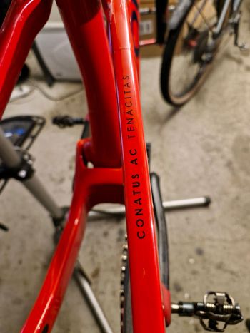 Orbea OIZ M10-TR 2019 2019 Mountainbike usato, Rosso — immagine 13 di 17