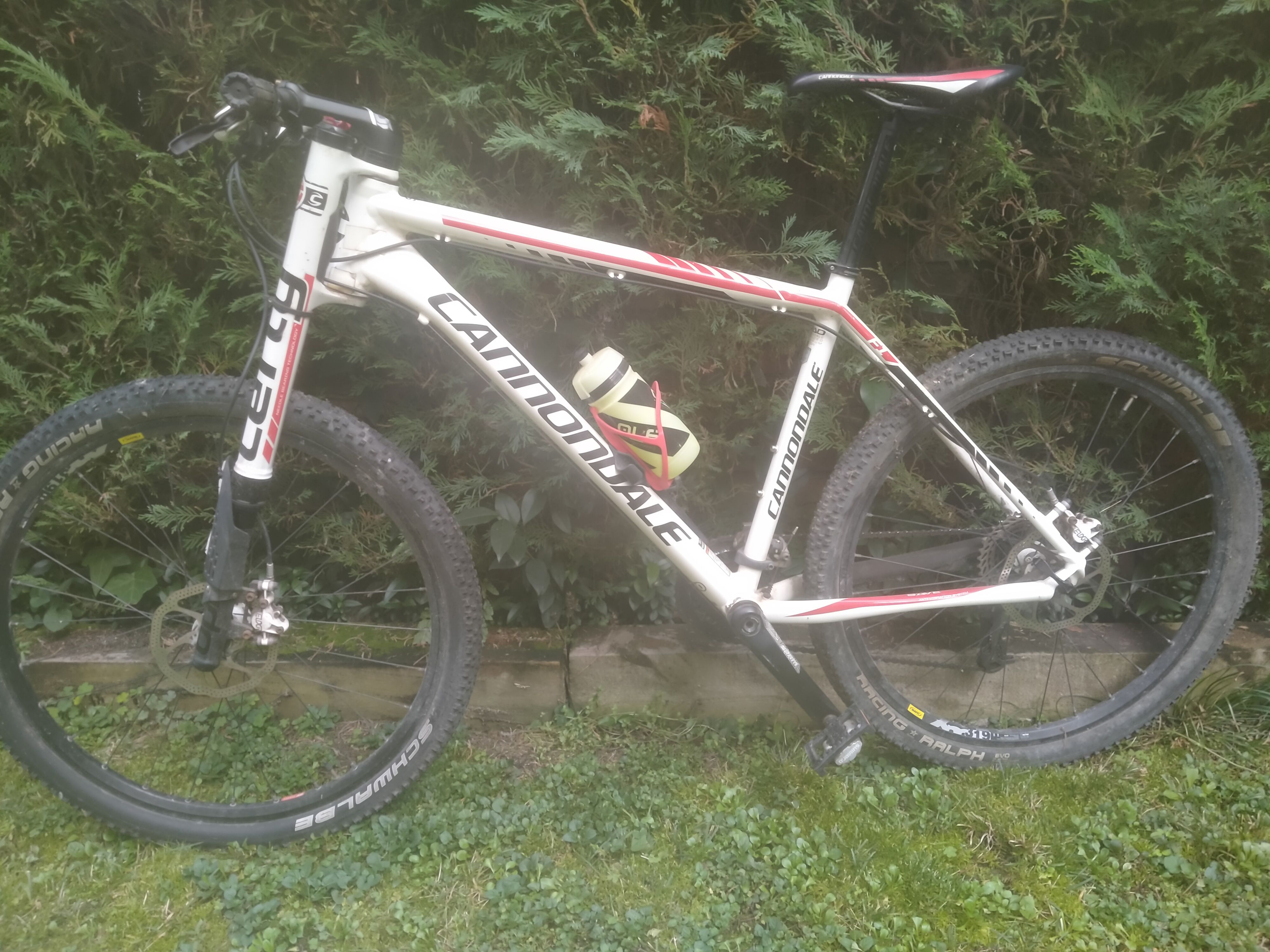 Cannondale flash f1 lefty sale