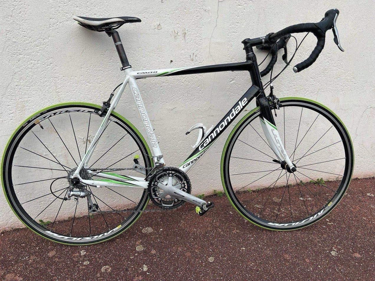 Cannondale caad8 tiagra online